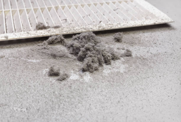 Best Affordable Air Duct Cleaning  in Twin Lakes, VA